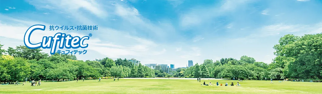 城市和公园的图片代表了 Cufitec 清洁和安全的形象。