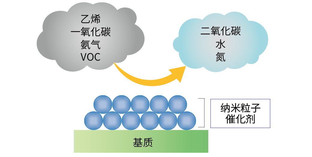 催化剂与恶臭气体的反应路径示意图