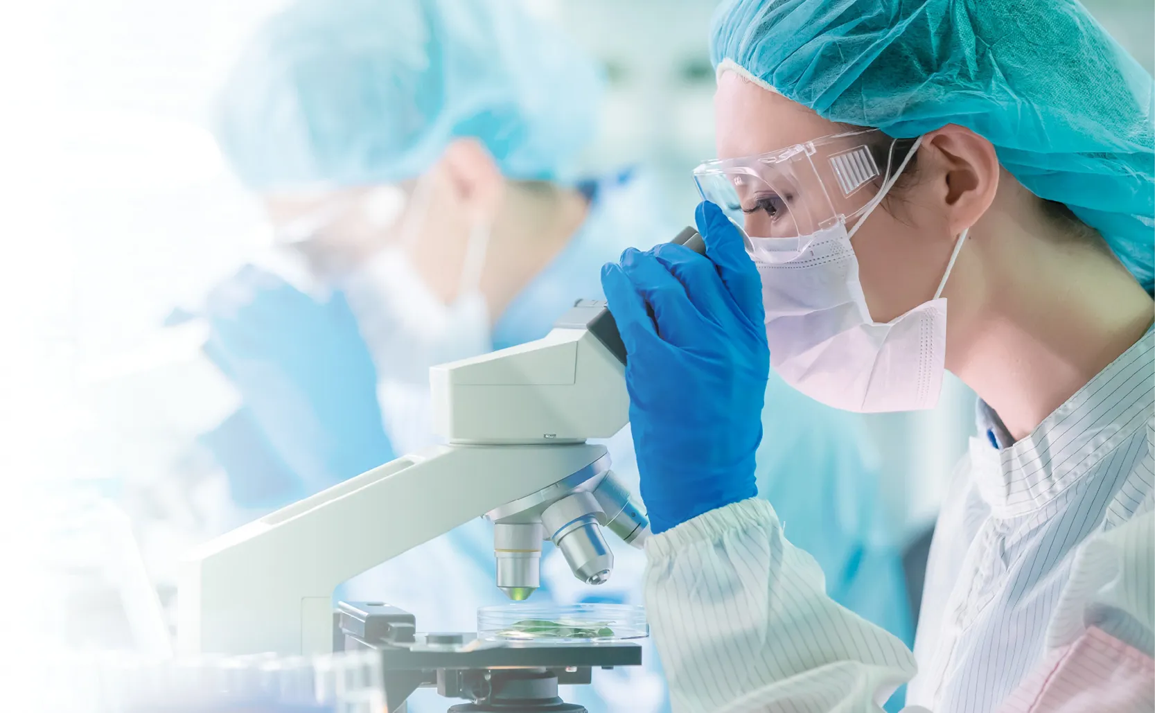 科学家在实验室使用显微镜