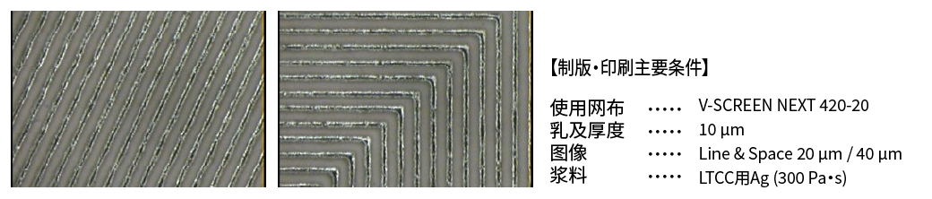 使用V-SCREEN NEXT 420-20的制版和印刷主要条件的显微镜图像