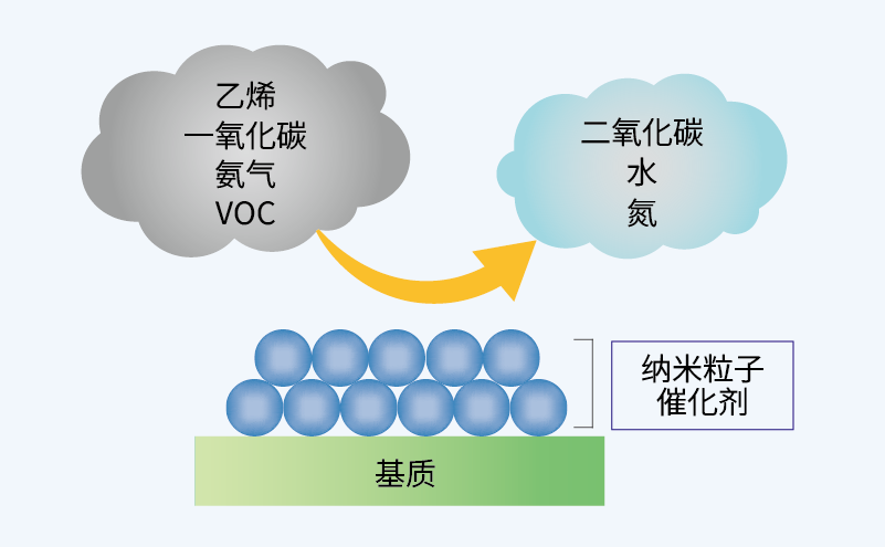 催化剂与恶臭气体的反应路径示意图