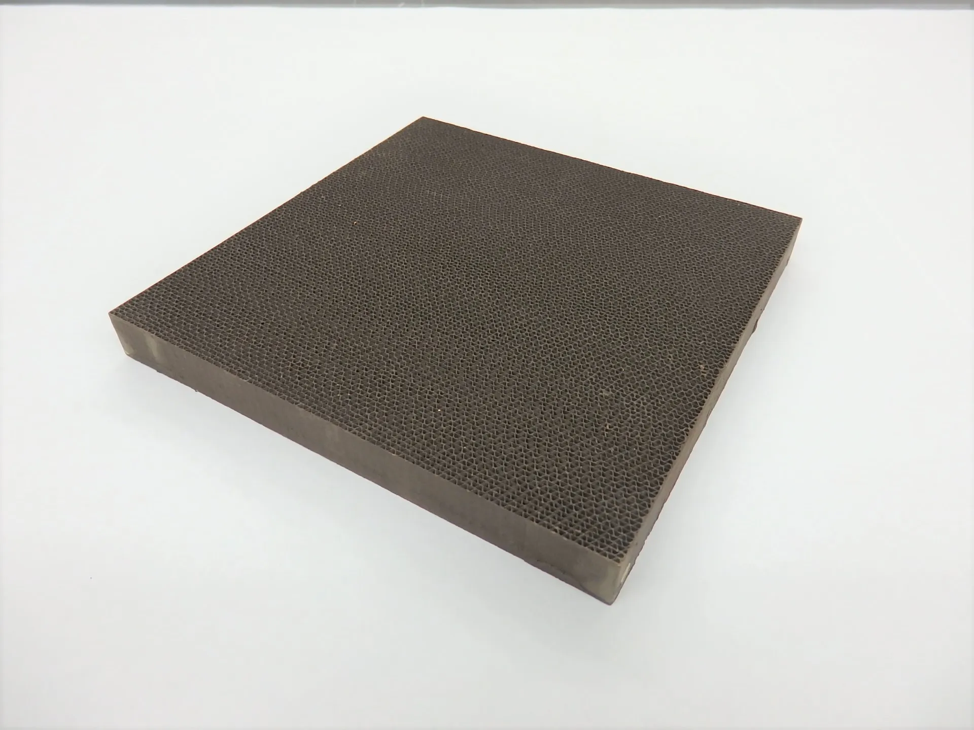 Appearance of manganese oxide catalyst filter.