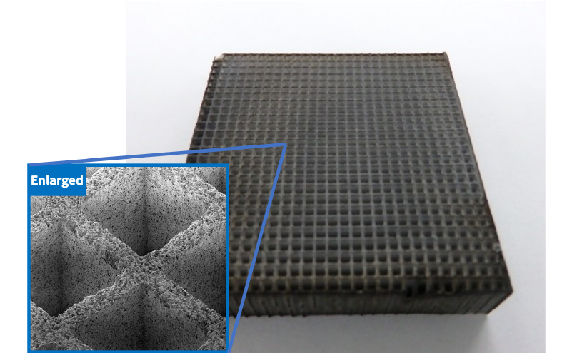External view of freshness retaining catalyst body