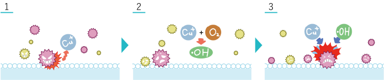 Antiviral & Antibacterial mechanism of Cufitec