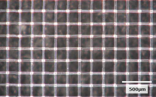 Enlarged view of PPS mesh