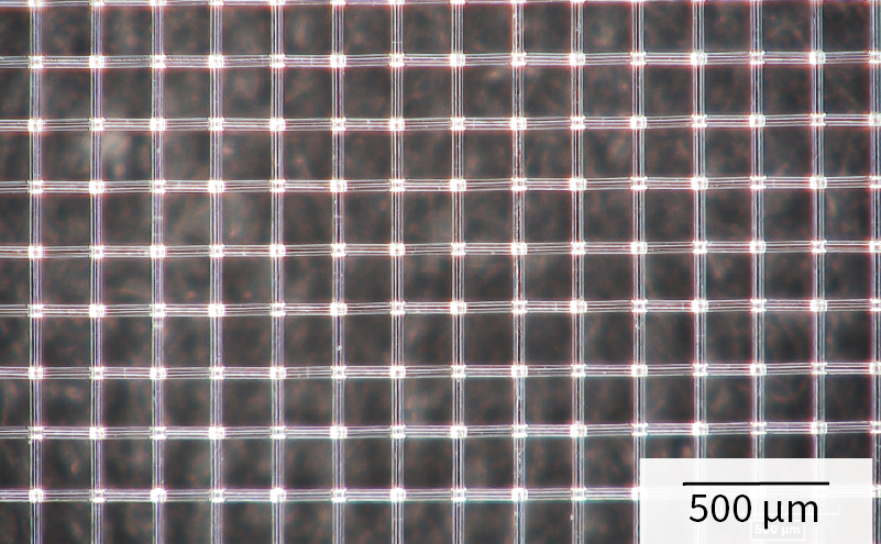 Enlarged photograph of mesh for water electrolysis cell(PPS177/70)