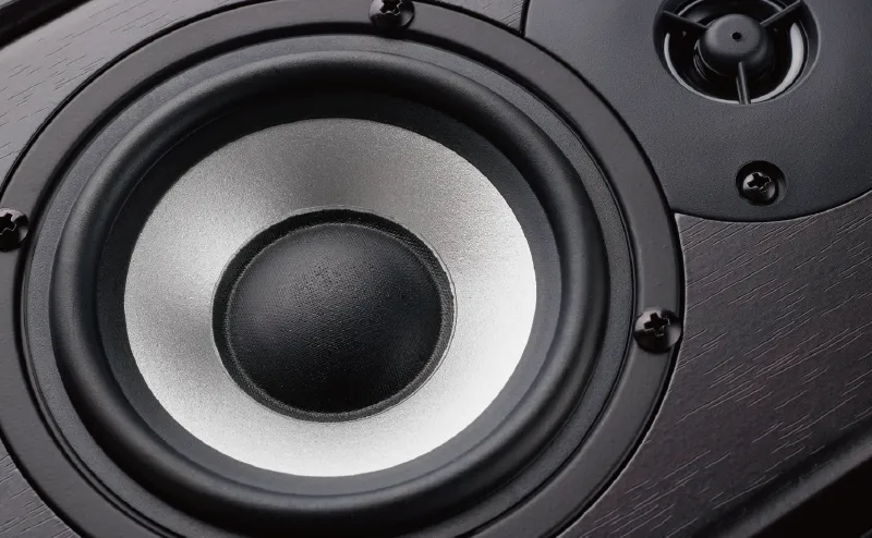 Image of the speaker