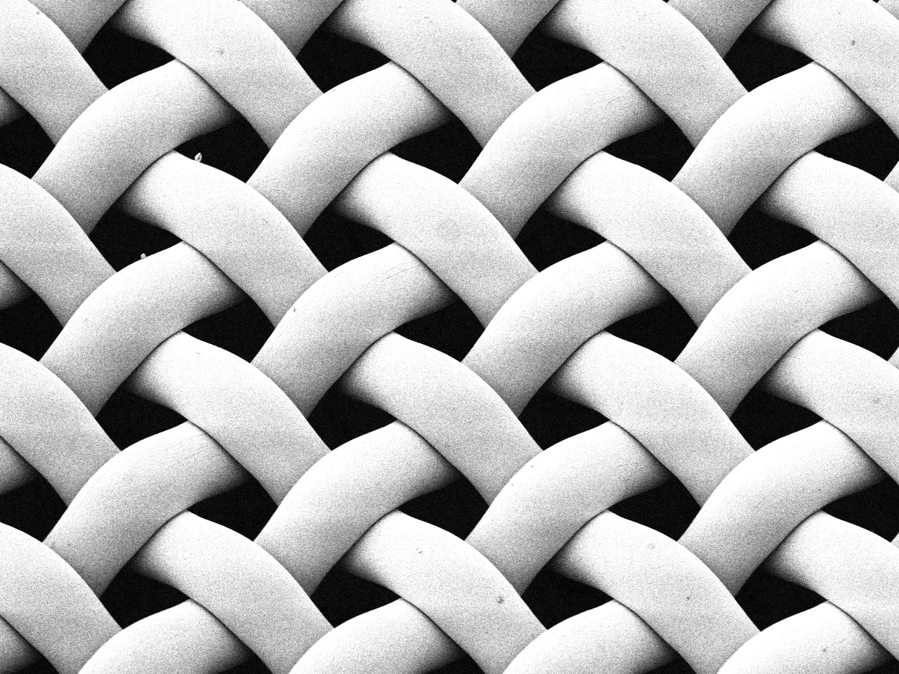 Enlarged photograph taken with SEM of NL screen