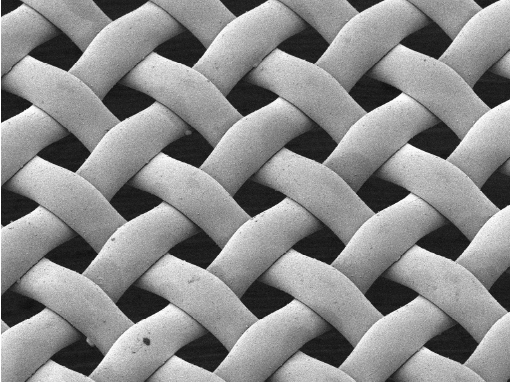 Enlarged image taken with SEM of Lscreen