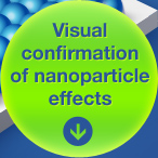 Visual confirmation of nanoparticle effects