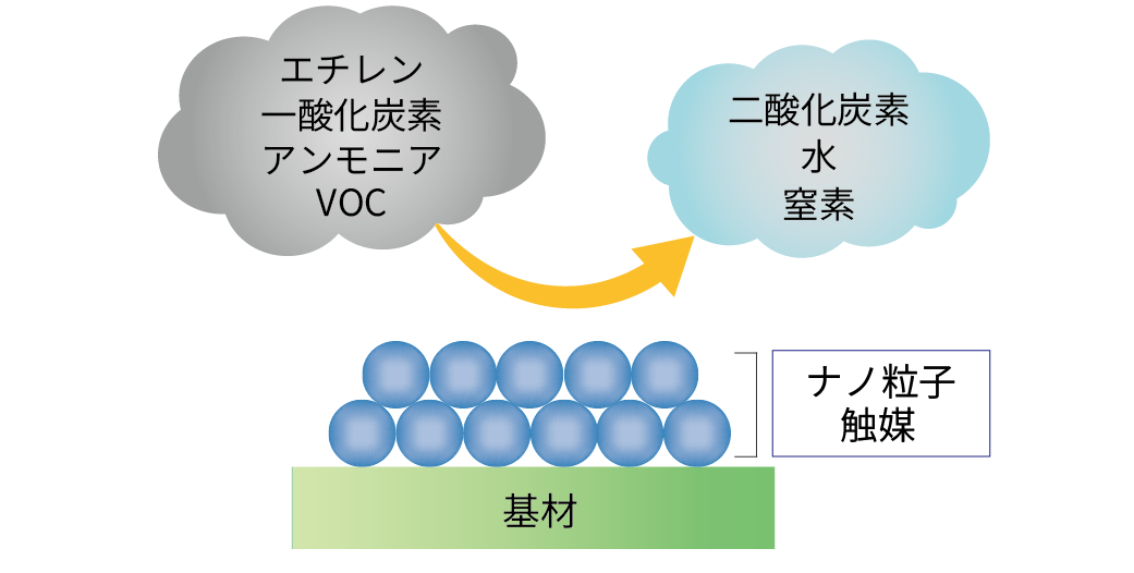 触媒と悪臭ガスの反応経路の図