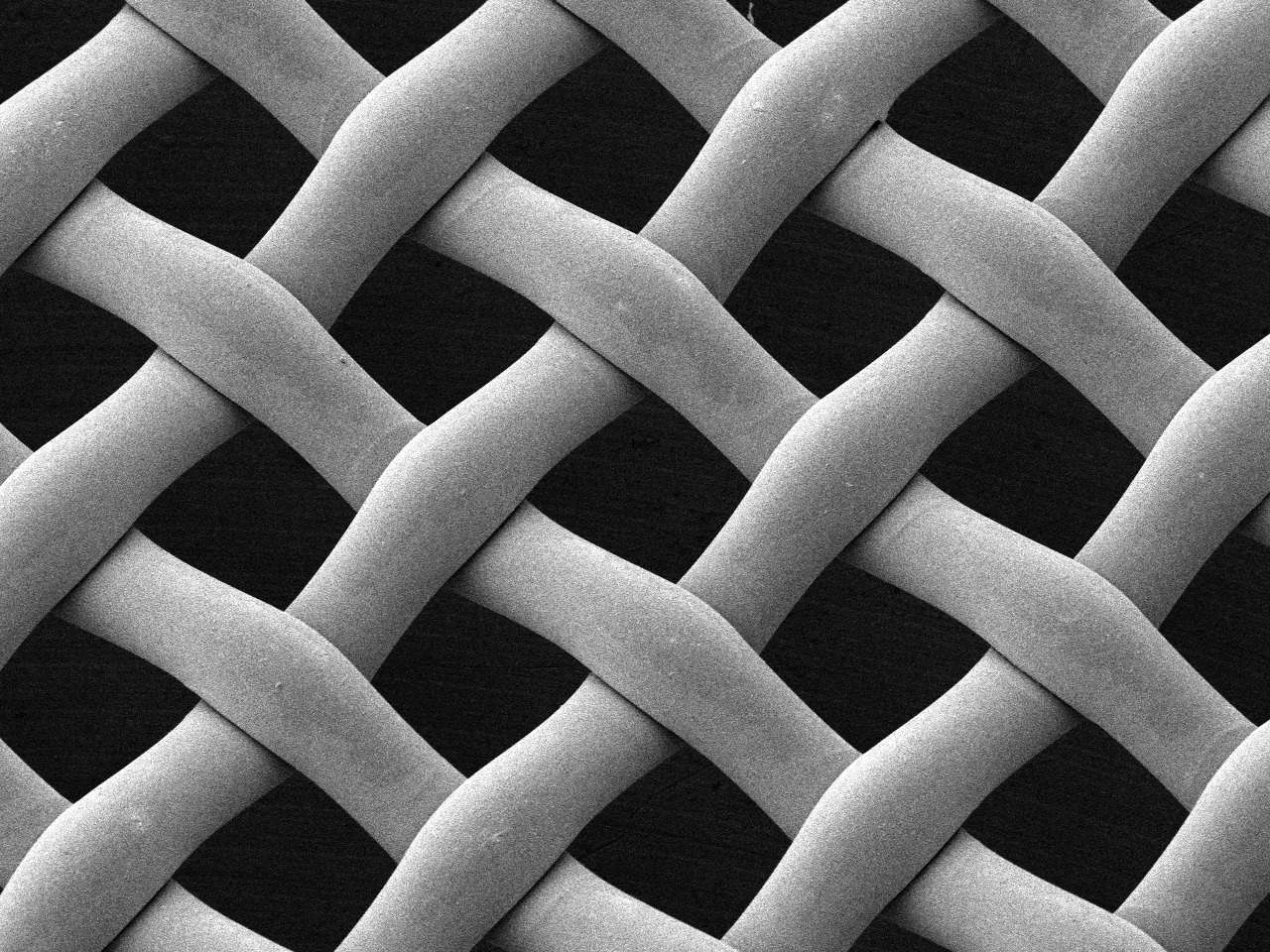 Duncan Rekta Mesh Screen メッシュスクリーン EX-SCREEN | スクリーン